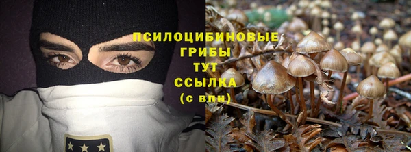 гашиш Абаза