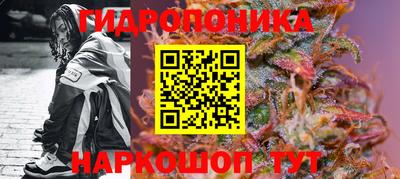 прущие грибы Первоуральск