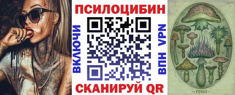 kraken   купить наркотики сайты  Торжок  Галлюциногенные грибы Psilocybe 