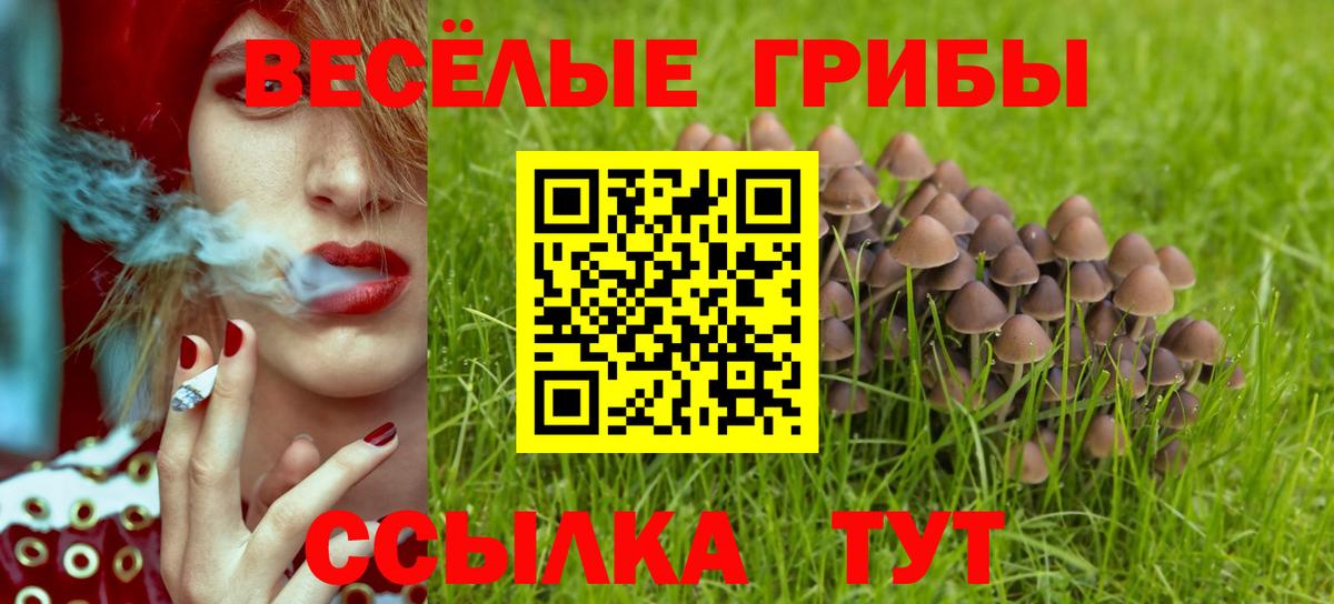 Торжок  где продают наркотики  Галлюциногенные грибы GOLDEN TEACHER  Вход с VPN  Псилоцибиновые грибы мицелий 