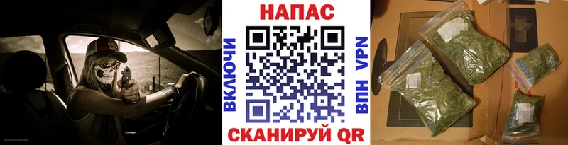 Конопля SATIVA & INDICA Торжок